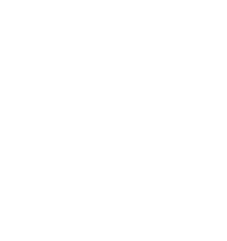 Soul Shoes NZ